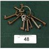 Image 1 : NINE ANTIQUE SKELETON KEYS ON RING
