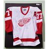Image 1 : SIGNED PAUL COFFEE DETROIT REDWINGS JERSEY