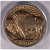Image 3 : 1928-D BUFFALO NICKEL PCGS MS 64