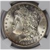 Image 2 : 1904-O MORGAN SILVER DOLLAR NGC MS-65 SNOW WHITE