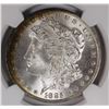 Image 2 : 1885-O MORGAN SILVER DOLLAR NGC MS65 WHITE WITH A LITTLE RIM RAINBOW!