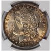 Image 2 : 1887 MORGAN SILVER DOLLAR NGC MS-65 GEM RAINBOW COLORS