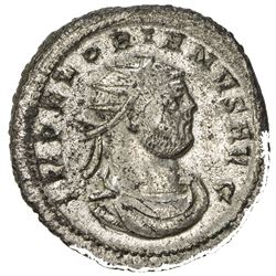 ROMAN EMPIRE: Florian, 276-276 AD, BI antoninianus (3.97g), Cyzicus. EF