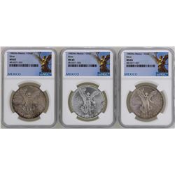 Lot of (3) 1982Mo Mexico Libertad Onza Silver Coins NGC MS65