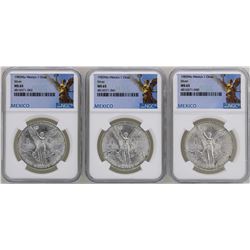 Lot of (3) 1983Mo Mexico Libertad Onza Silver Coins NGC MS65