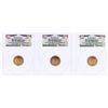 Image 1 : Lot of (3) 2009 Bicentennial Lincoln Cent Coins PCGS MS66RD First Day of Issue