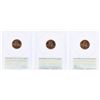 Image 2 : Lot of (3) 2009 Bicentennial Lincoln Cent Coins PCGS MS66RD First Day of Issue