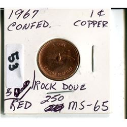 1967 CNDN CONFEDERATION ROCK DOVE PENNY