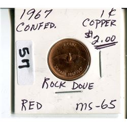 1967 CNDN CONFEDERATION ROCK DOVE PENNY