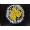 Image 1 : CANADA 2006 PROOF $5 COLORED MAPLE LEAF COIN