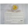 Image 3 : CANADA 2006 PROOF $5 COLORED MAPLE LEAF COIN