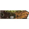 Image 3 : CANADA PROOF 50 CENT COIN DINOSAUR DASPLETOSAURS,2010