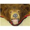 Image 2 : BEAR RUG, WINTER BEAR, CINNAMON COLOR