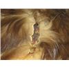 Image 4 : BEAR RUG, WINTER BEAR, CINNAMON COLOR