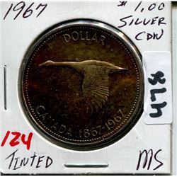 1967 CNDN SILVER DOLLAR TINTED