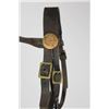 Image 2 : U.S. bridle with NO. 2 bit