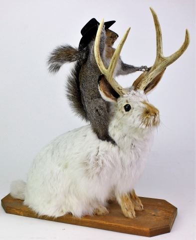 Mounted Jackalope With Buckaroo Squirrel