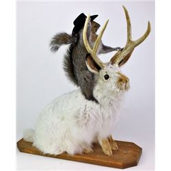 Mounted jackalope with buckaroo squirrel