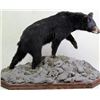 Image 1 : Small black bear mount