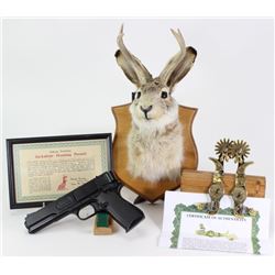 Collection of 3 includes the illusive mounted