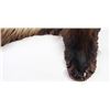 Image 2 : Montana Wolverine rug