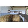 Image 7 : Parade Trailer (Converted Peanut Wagon), 22' Long, 100" Wide, 98" High