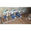 Image 11 : Brown Brothers Pump Station (3 Pumps w/Motors)