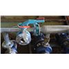 Image 14 : Brown Brothers Pump Station (3 Pumps w/Motors)