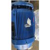 Image 8 : Brown Brothers GISN125X100-200 Electric Pump/Motor