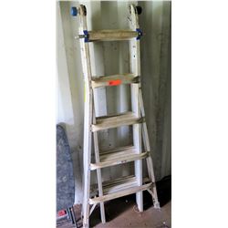 Werner Folding Ladder