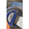 Image 2 : Blue Check Valve? 4" 316