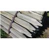 Image 2 : Qty 100 "Small" Pointed Wooden Fence Posts (83" L, 3" to 4" Dia.)