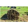 Image 2 : Qty 500 "Small" Pointed Wooden Fence Posts (83" L, 3" to 4" Dia.)