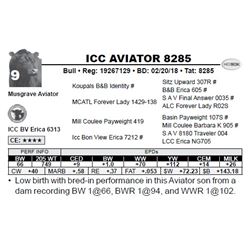 ICC AVIATOR 8285