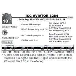 ICC AVIATOR 8284