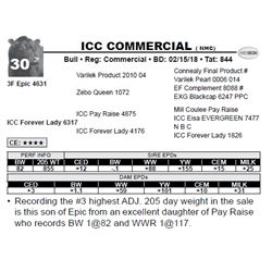 ICC COMMERCIAL ( NHC)