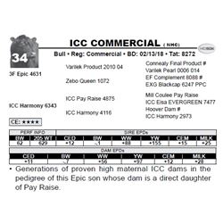 ICC COMMERCIAL ( NHC)