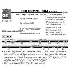 ICC COMMERCIAL ( NHC)