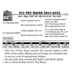 ICC PAY RAISE 5941-8333