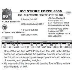 ICC STRIKE FORCE 8336