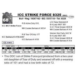 ICC STRIKE FORCE 8325 (DDC)