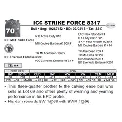 ICC STRIKE FORCE 8317