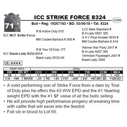 ICC STRIKE FORCE 8324