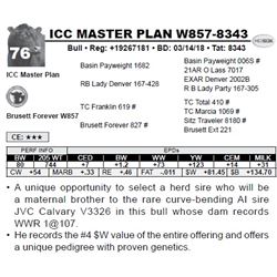 ICC MASTER PLAN W857-8343