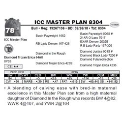 ICC MASTER PLAN 8304