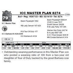 ICC MASTER PLAN 8274