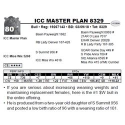 ICC MASTER PLAN 8329