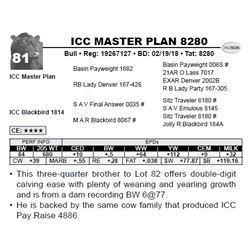 ICC MASTER PLAN 8280