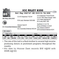 ICC RILEY 8350