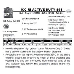 ICC RI ACTIVE DUTY 891
